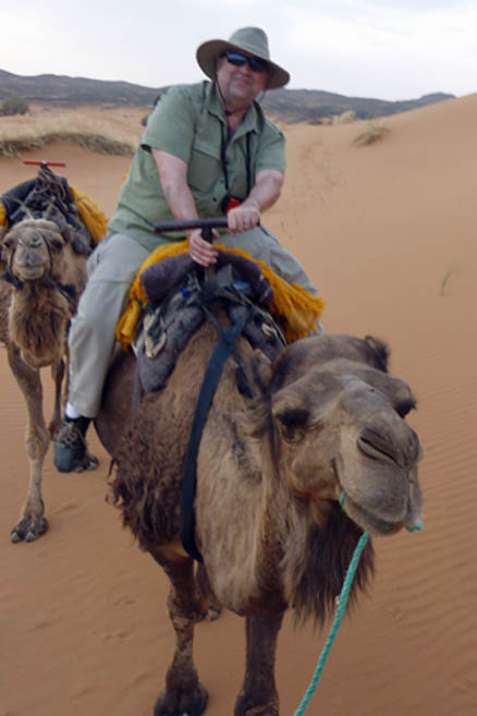 camel, Erg Chebbi, Merzouga, Morocco