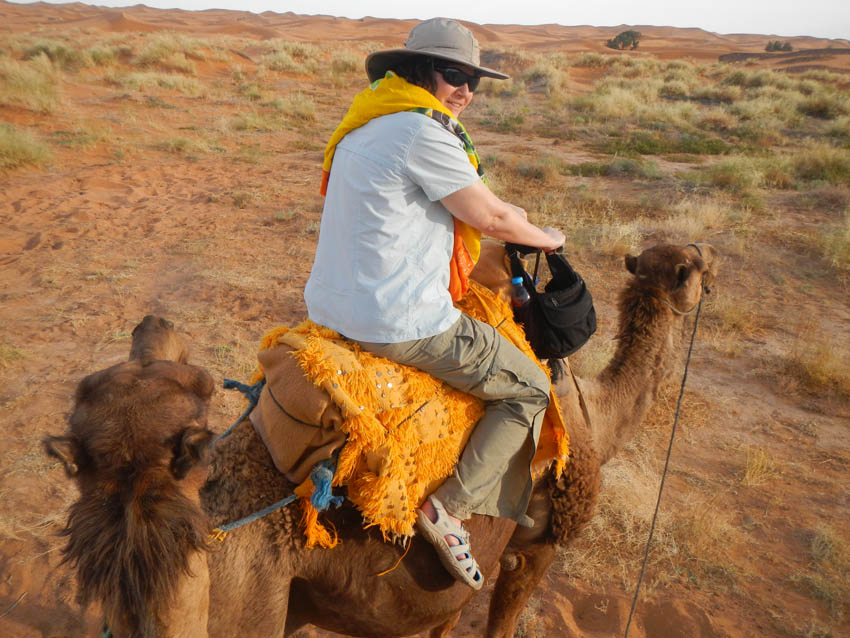 camel, Erg Chebbi, Merzouga, Morocco