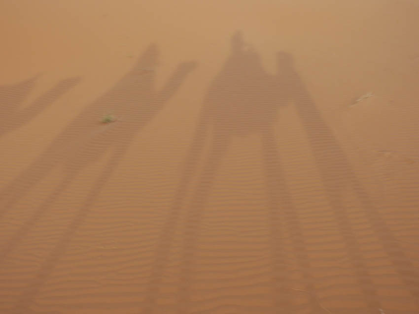camel shadows, Erg Chebbi, Merzouga, Morocco