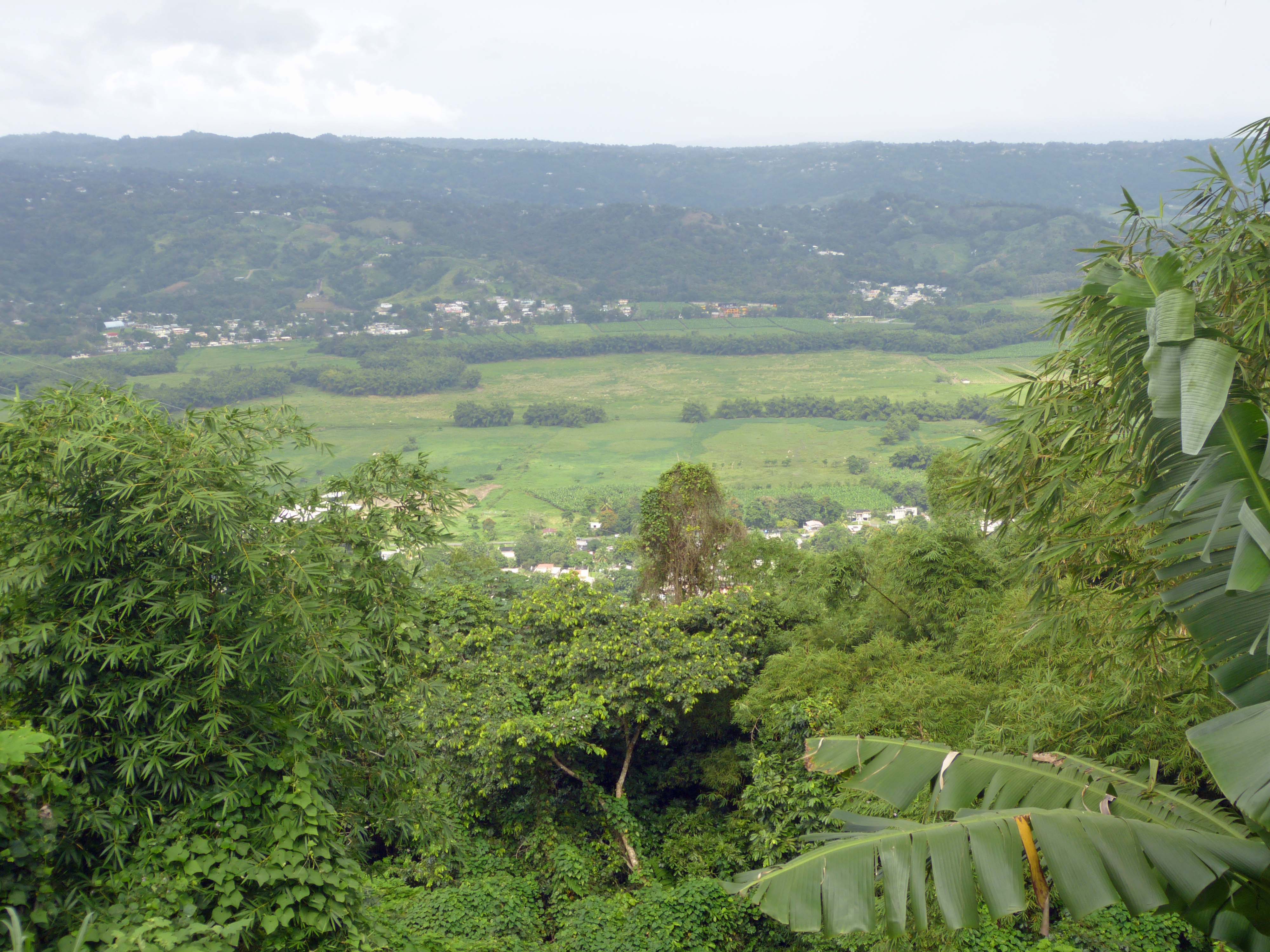 View near Yabucoa, Puerto Rico