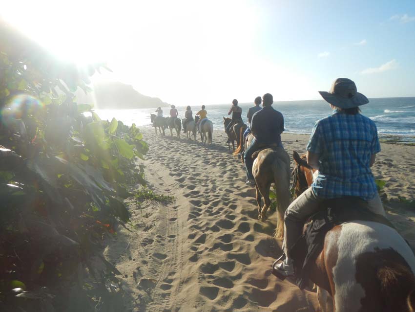 Tropical Trail Rides, Isabela, Puerto Rico