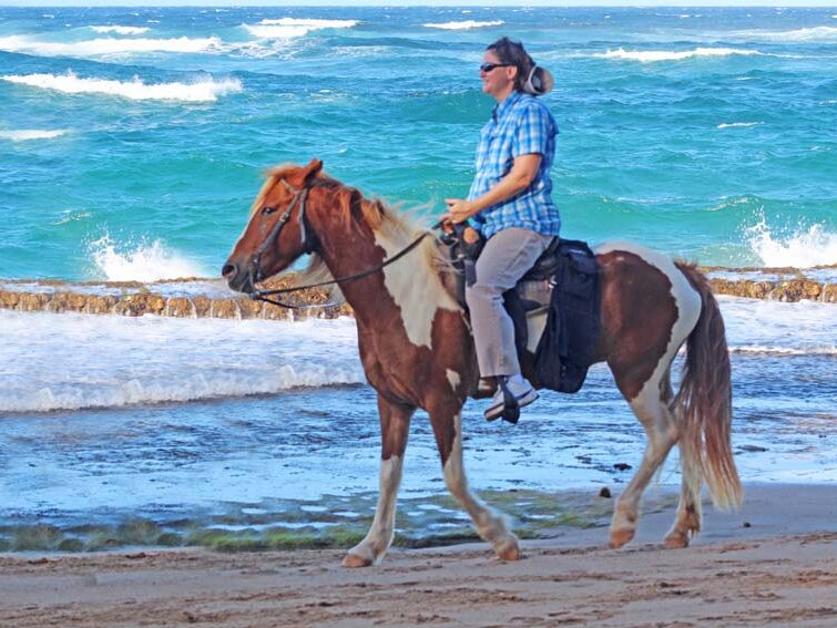 Tropical Riding Top Ten Puerto Rico Travel Destinations: #3 Tropical Trails Horseback ...