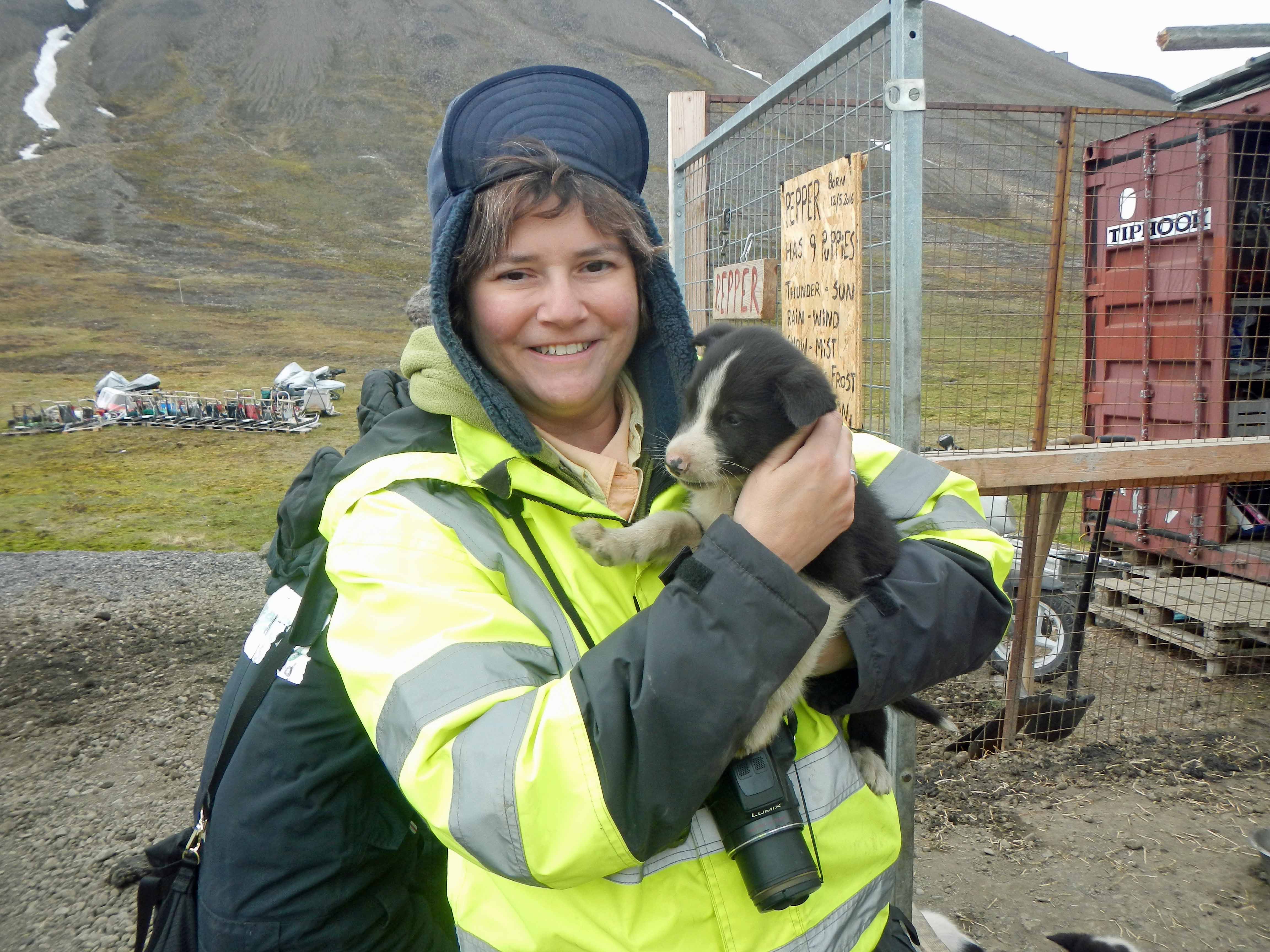 Can I have one? Green Dog, Longyearbyen, Svalbard, Norway