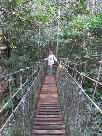 Hanging Bridge, Amazon, Peru