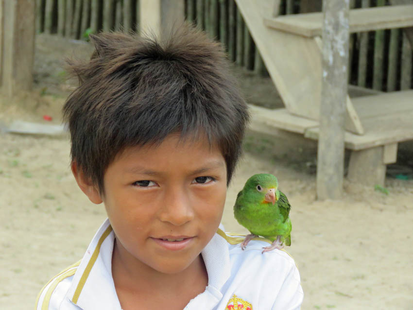 Parakeet and boy in Amazon, Peru