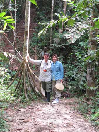 Hiking with the Bugs, Amazon, Peru