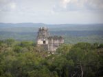 View over the jungle at Tikal, Guatemala