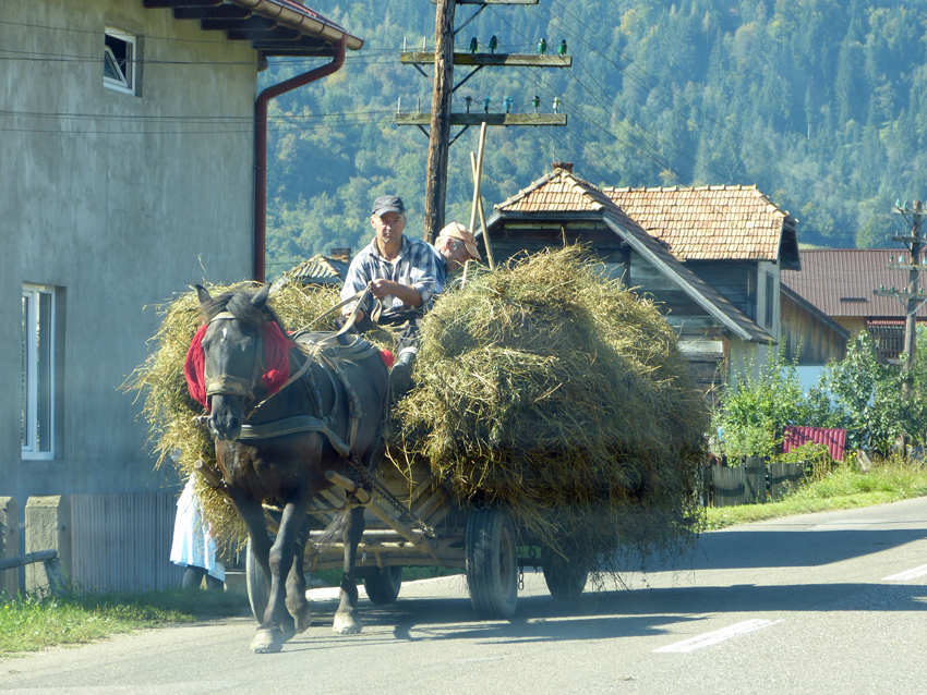Bucovina, Romania Haystack on the move