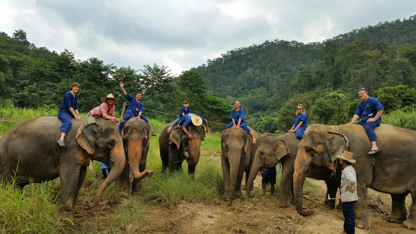 Elephant experience Chiang Mai