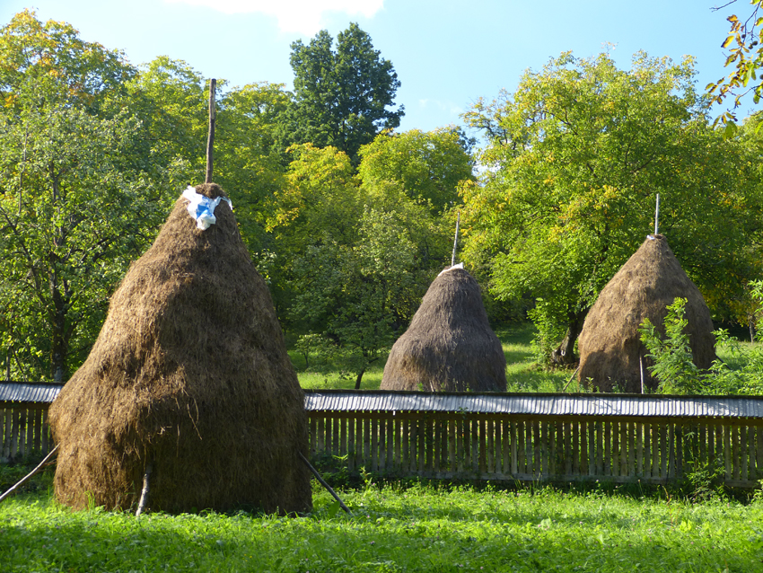 Haystack in Maramures. Romania