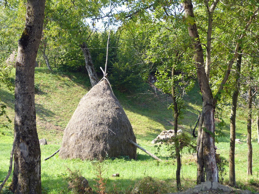 Haystack-in-Maramures-Romania