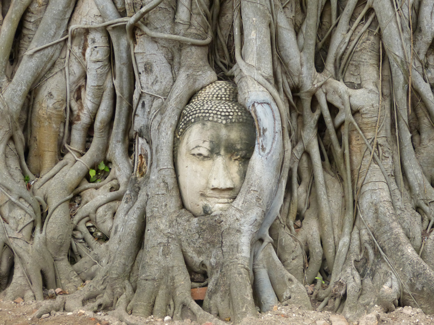 Wat Mahathat Buddha face