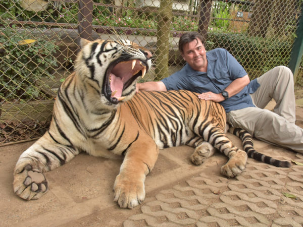 Greg and the Giant Tiger at Tiger Kingdom