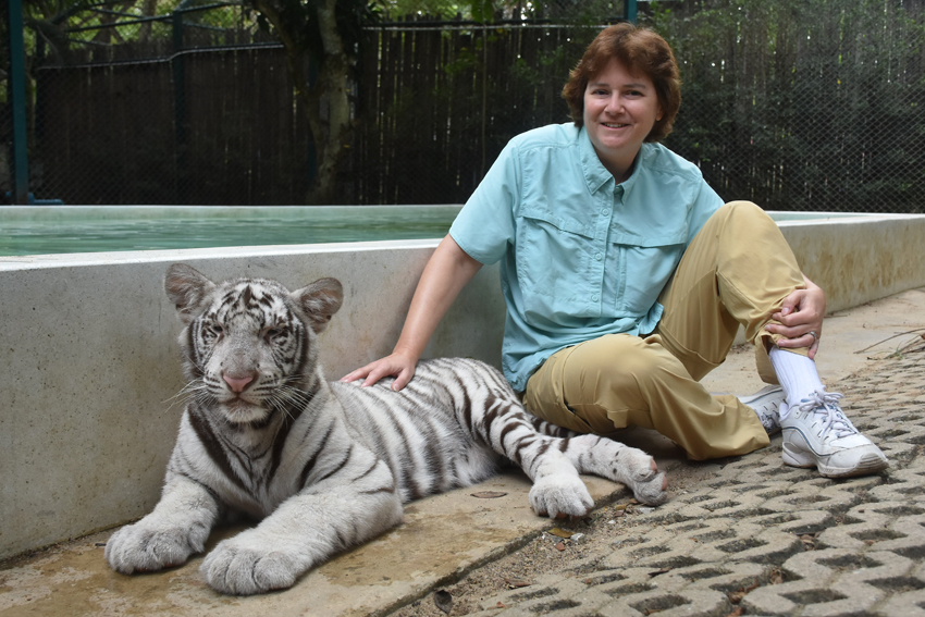 Wendy and the white tiger at Tiger Kingdom