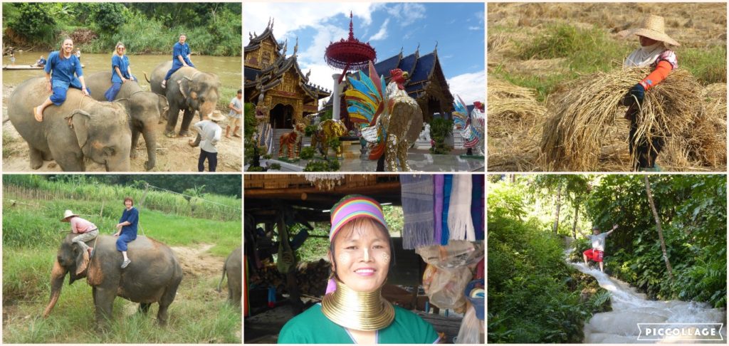 Thailand Collage 2017-11-24 Elephants etc