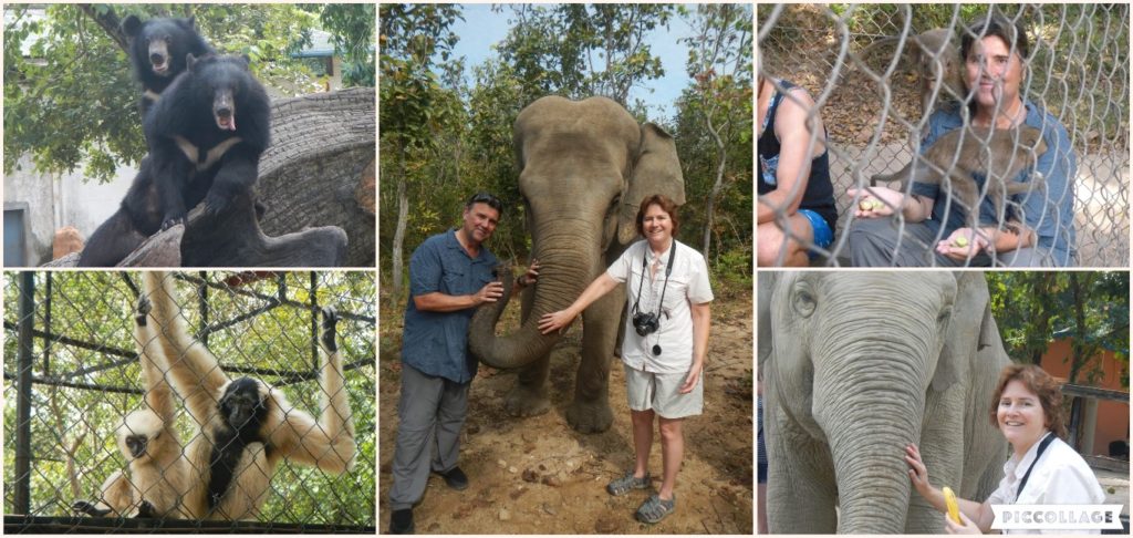 Cambodia Collage 2017-12-15 Wildlife Alliance