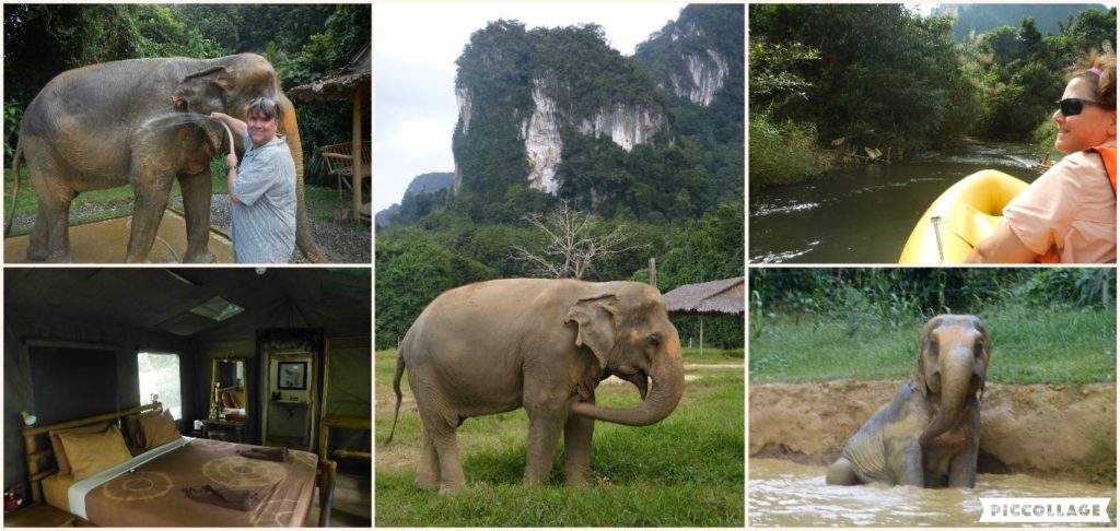 Thailand Collage 2018-01-03 Canoe and Elephants