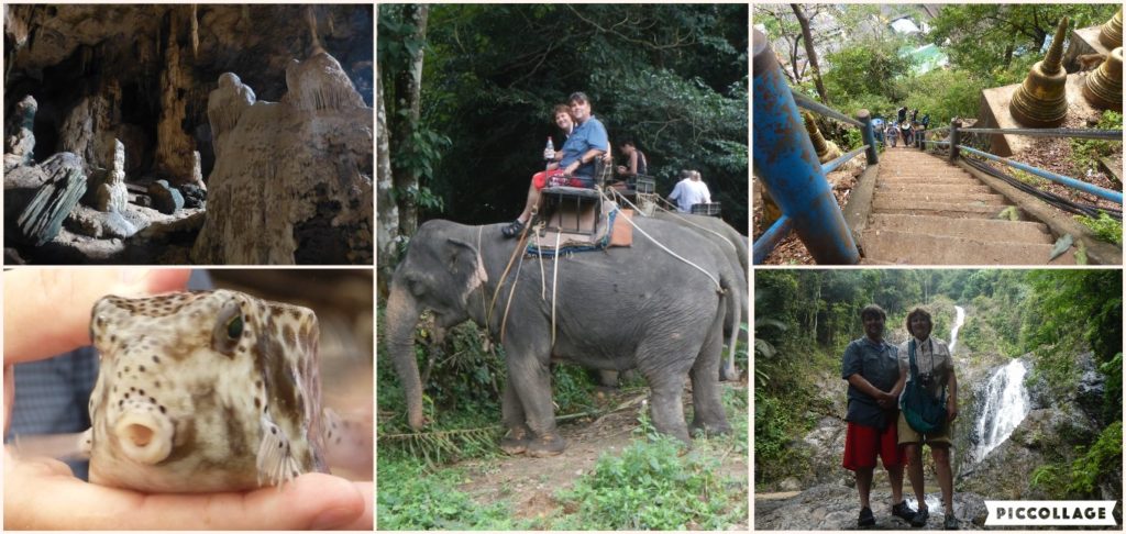 Thailand Collage 2018-01-12 Elephant Safari