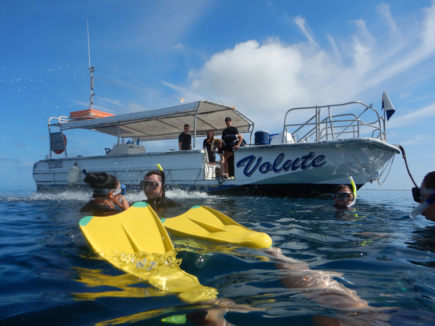 Heron Island - snorkel boat Volute