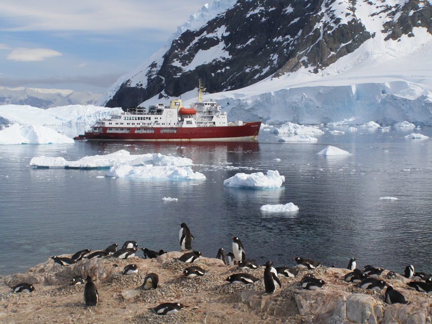 Expedition Cruising in Antarctica