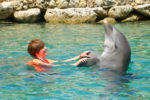 Dolphin and Wendy in Curacao