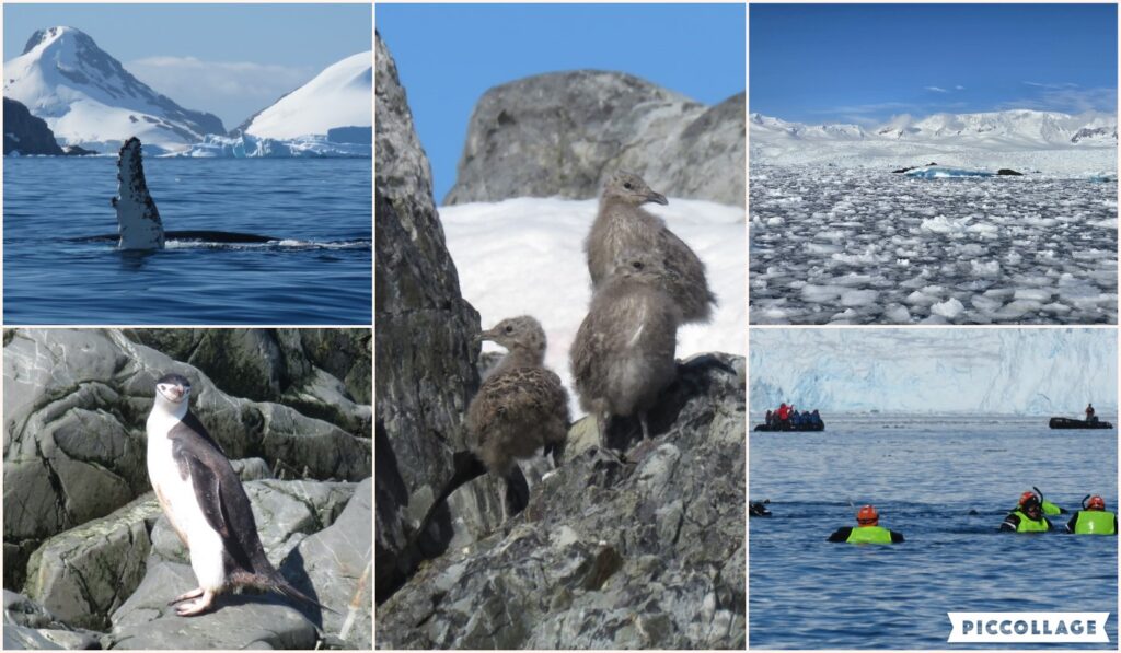 Postcards from Antarctica - Powers To Travel